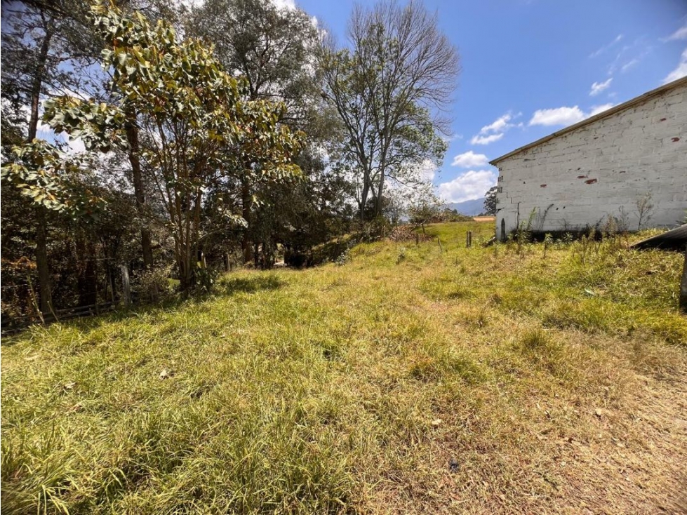HERMOSO LOTE EN VENTA PARA DESARROLLO URBANO EN EL CARMEN DE VÍBORAL. — foto 6