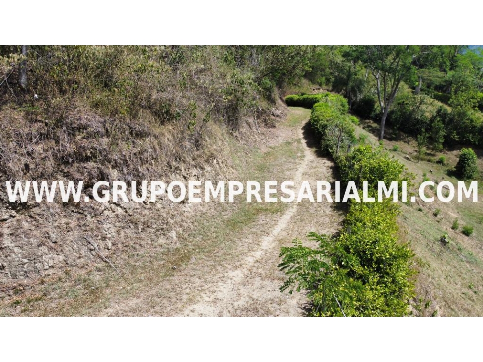 HERMOSO LOTE EN VENTA - SECTOR SAN JERONIMO COD 29350 COD: 29350 - 6