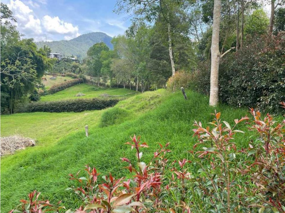 HERMOSO LOTE EN ZONA DE ALTA VALORIZACIÓN EN EL CARMEN DE VÍBORAL ANT.