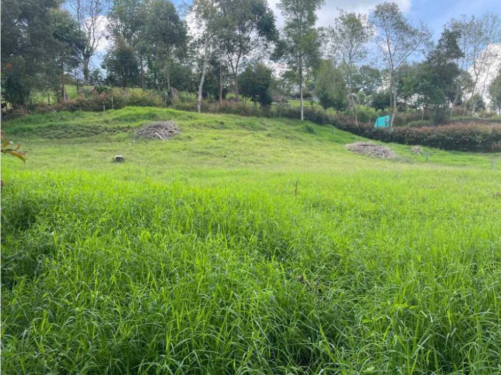 HERMOSO LOTE EN ZONA DE ALTA VALORIZACIÓN EN EL CARMEN DE VÍBORAL ANT. — foto 2
