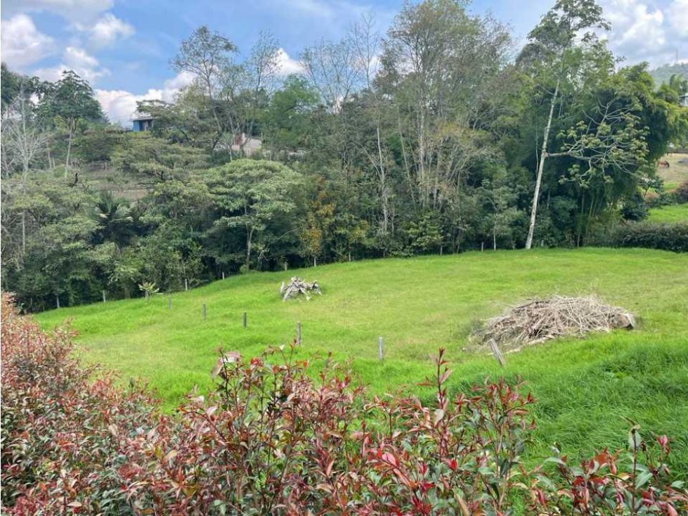 HERMOSO LOTE EN ZONA DE ALTA VALORIZACIÓN EN EL CARMEN DE VÍBORAL ANT. — foto 5