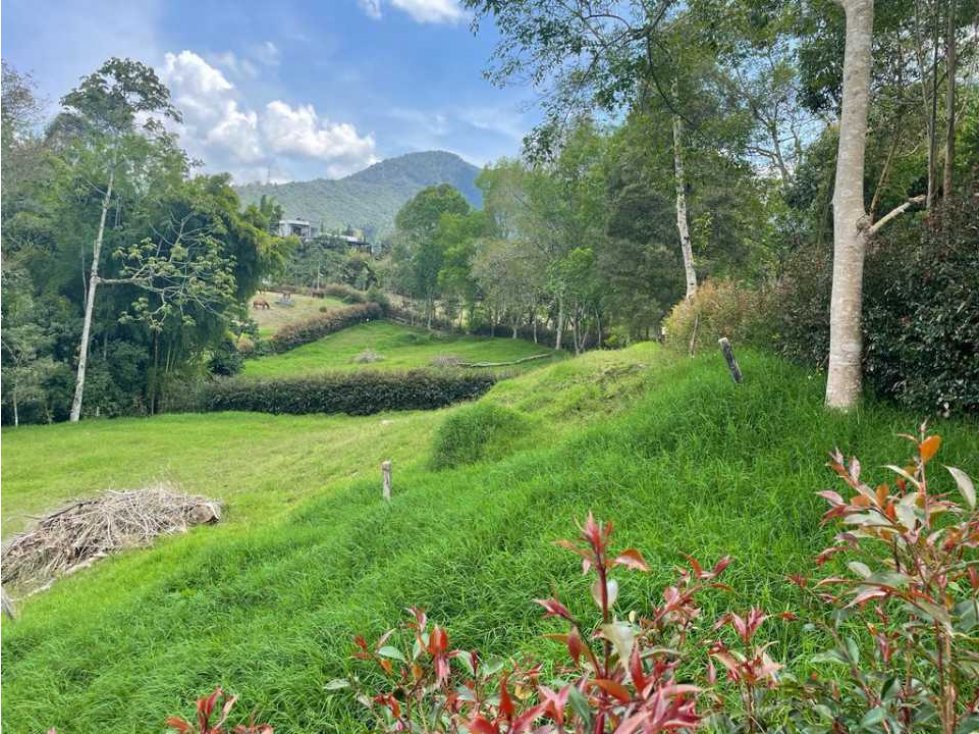 HERMOSO LOTE EN ZONA DE ALTA VALORIZACIÓN EN EL CARMEN DE VÍBORAL ANT. — foto 6