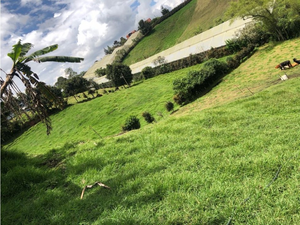 HERMOSO LOTE FINCA EN VENTA EL CÁRMEN DE VIBORAL VEREDA CRISTO REY