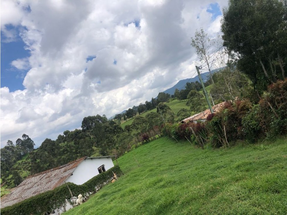 HERMOSO LOTE FINCA EN VENTA EL CÁRMEN DE VIBORAL VEREDA CRISTO REY — foto 3
