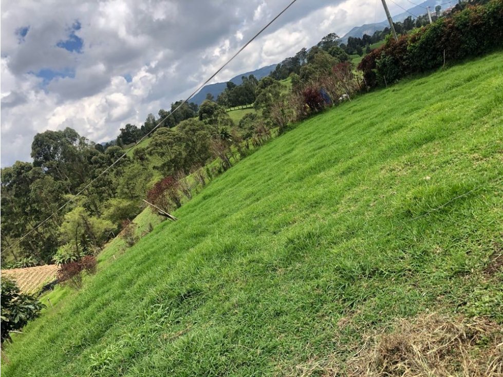 HERMOSO LOTE FINCA EN VENTA EL CÁRMEN DE VIBORAL VEREDA CRISTO REY — foto 4