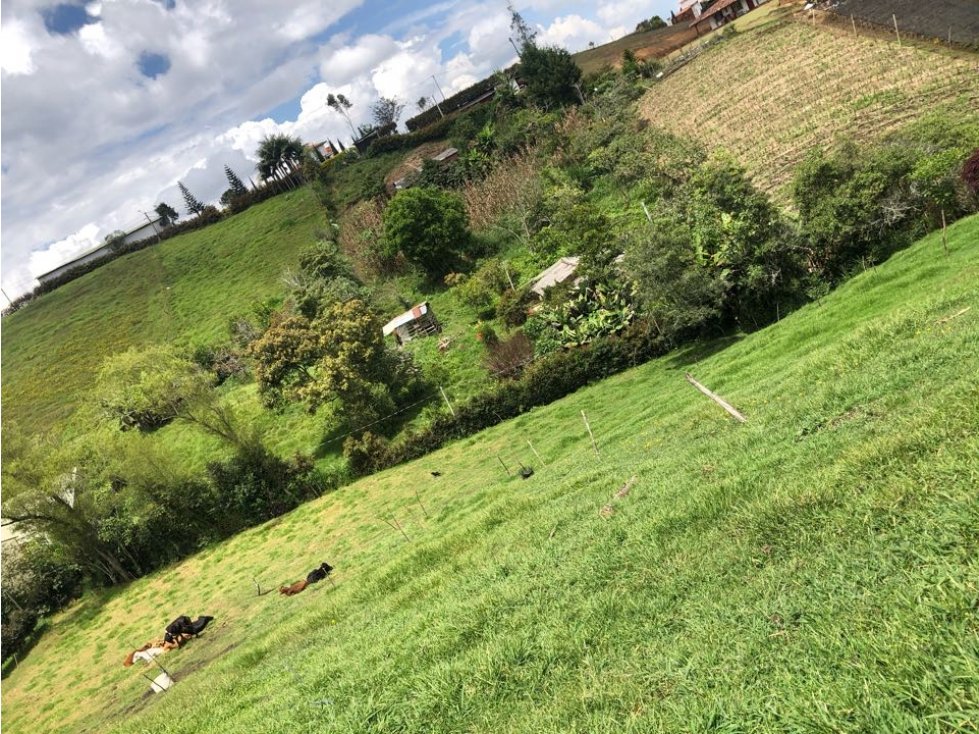 HERMOSO LOTE FINCA EN VENTA EL CÁRMEN DE VIBORAL VEREDA CRISTO REY — foto 5