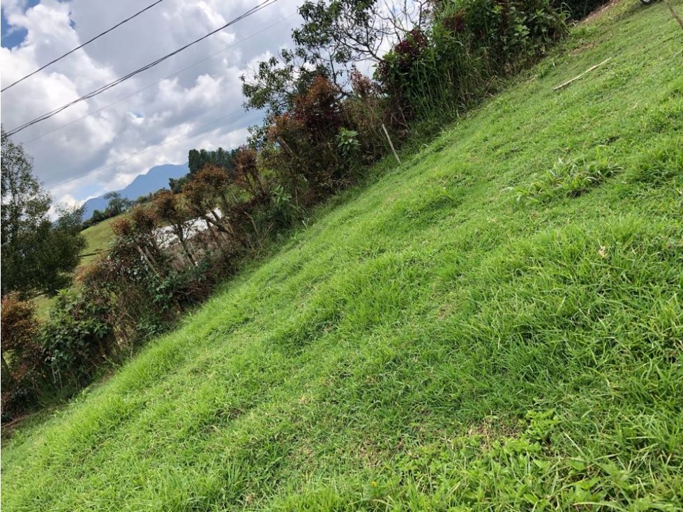 HERMOSO LOTE FINCA EN VENTA EL CÁRMEN DE VIBORAL VEREDA CRISTO REY — foto 6