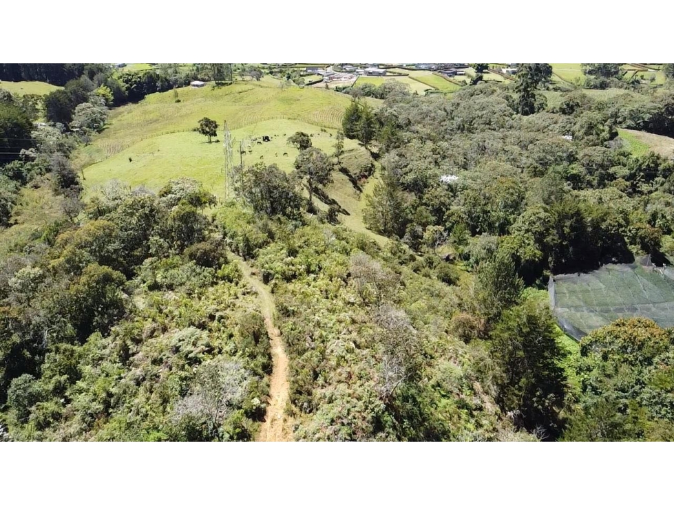 Hermoso lote independiente en la vía san antonio la ceja ideal — foto 3