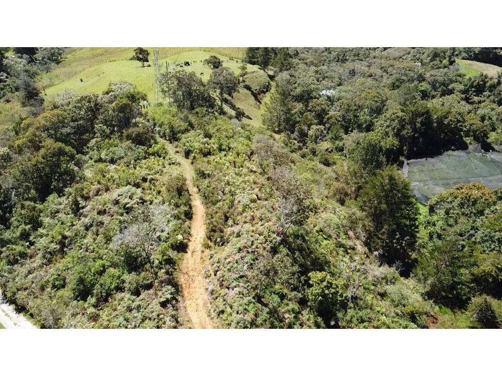 Hermoso lote independiente en la vía san antonio la ceja ideal — foto 4