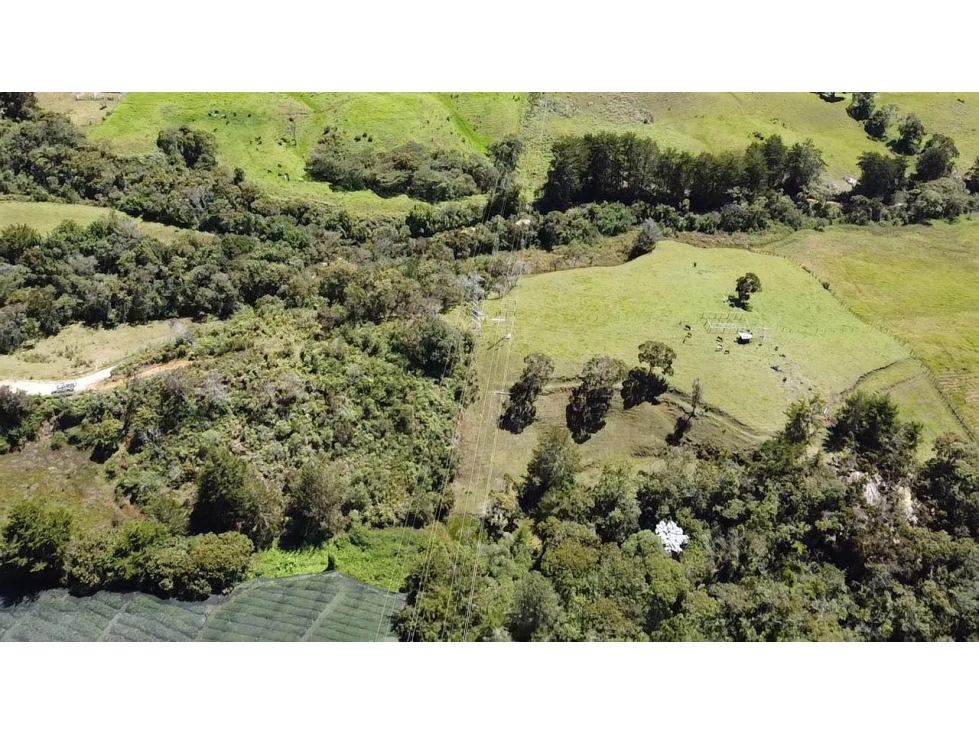 Hermoso lote independiente en la vía san antonio la ceja ideal — foto 6