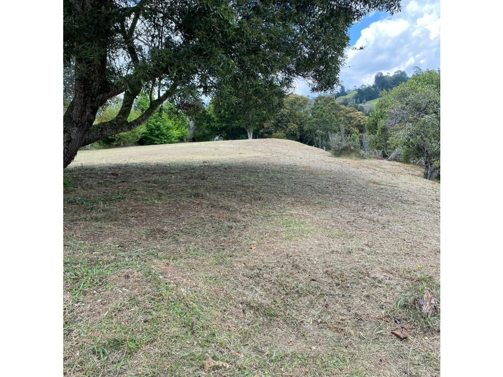 Hermoso lote independiente en Rionegro vereda La Convención — foto 4