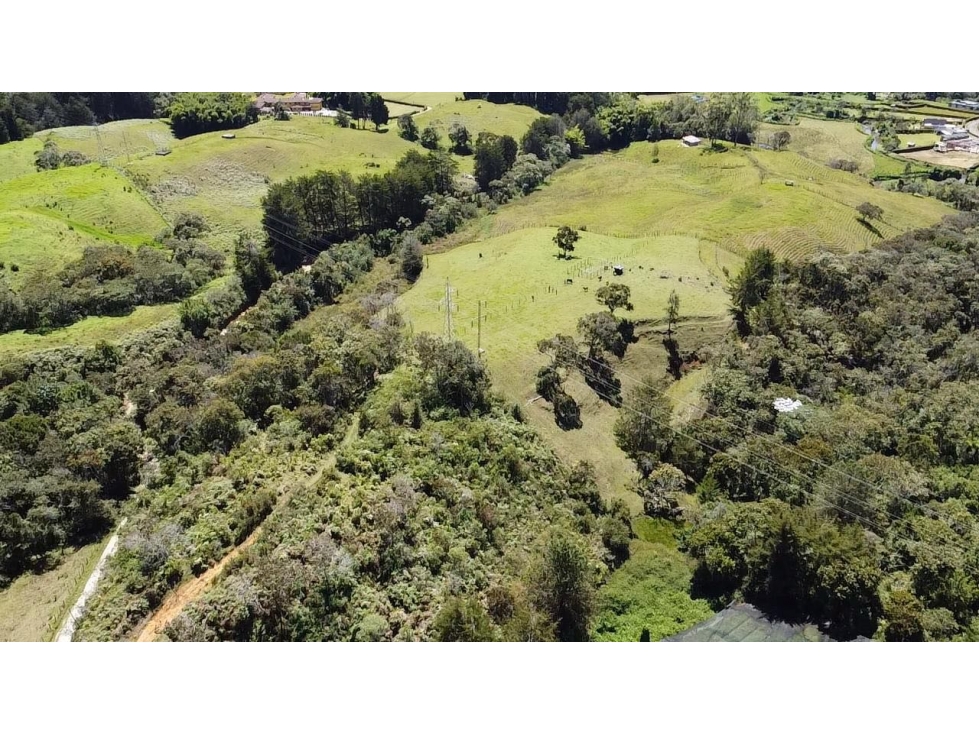 Hermoso lote independiente vía San Antonio La Ceja — foto 2