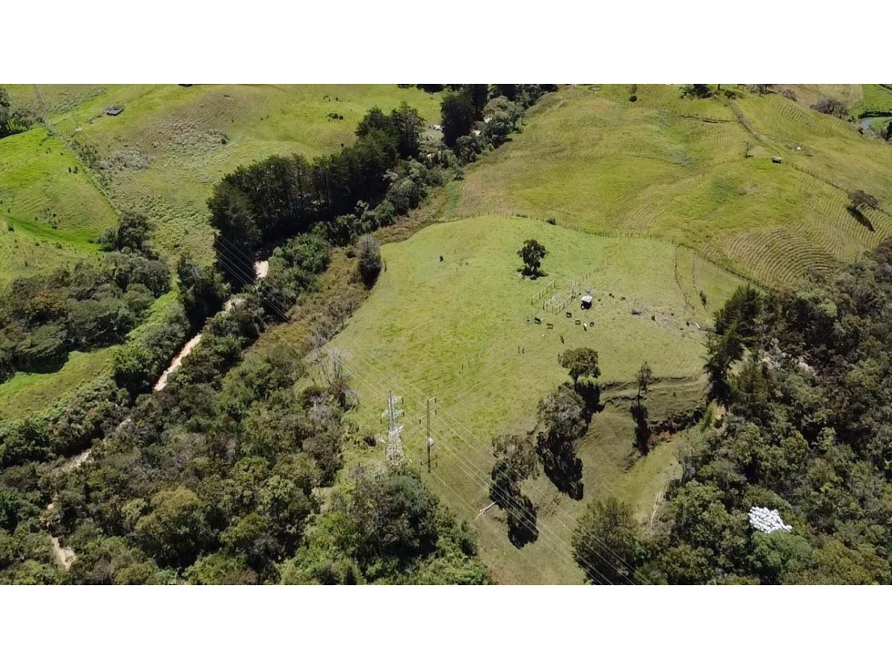 Hermoso lote independiente vía San Antonio La Ceja — foto 4
