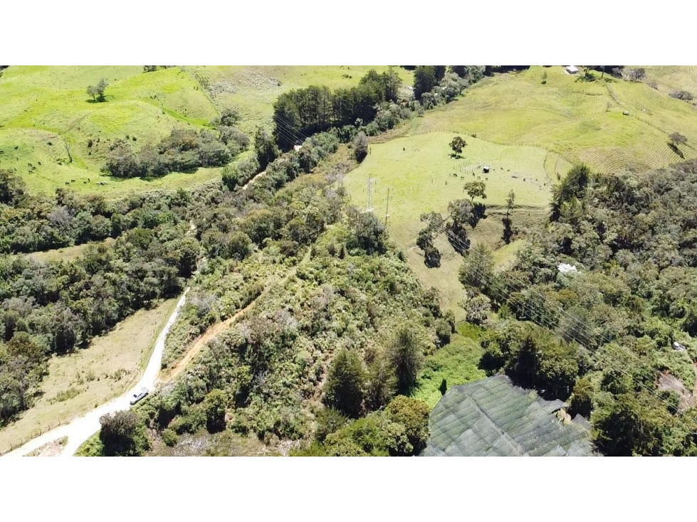 Hermoso lote independiente vía San Antonio La Ceja — foto 6