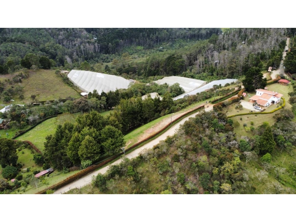 Hermoso lote independiente guarne vereda san José parte alta — foto 6