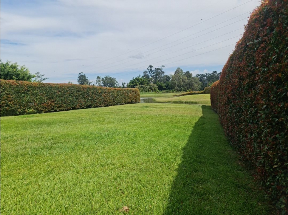 Hermoso lote Llanogrande vía aeropuerto totalmente plano con lago — foto 4