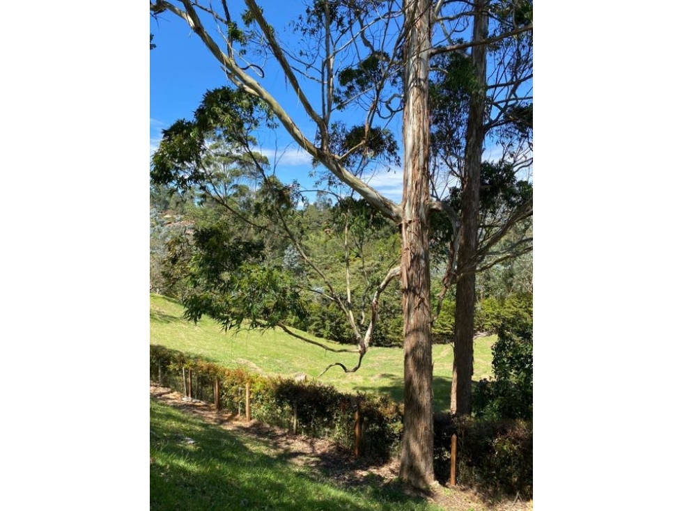 Lote para La Venta en el Carmen de Viboral - 2