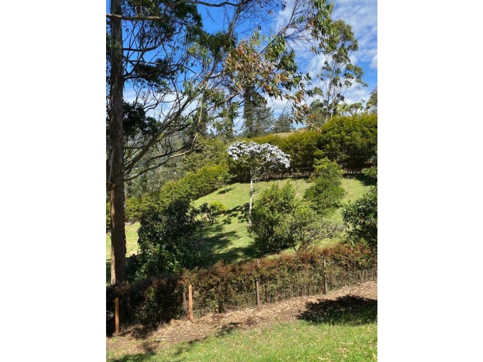 Lote para La Venta en el Carmen de Viboral - 5