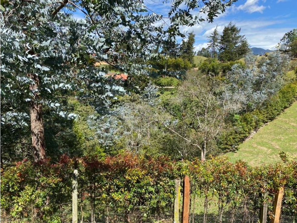 Lote para La Venta en el Carmen de Viboral - 6