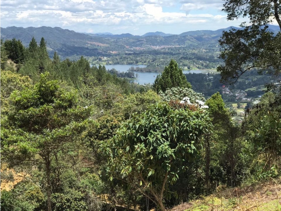 Lote para la Venta en Guarne La Mosquita - 1