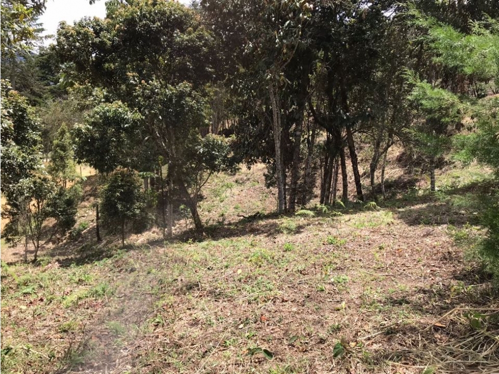 Lote para la Venta en Guarne La Mosquita - 2