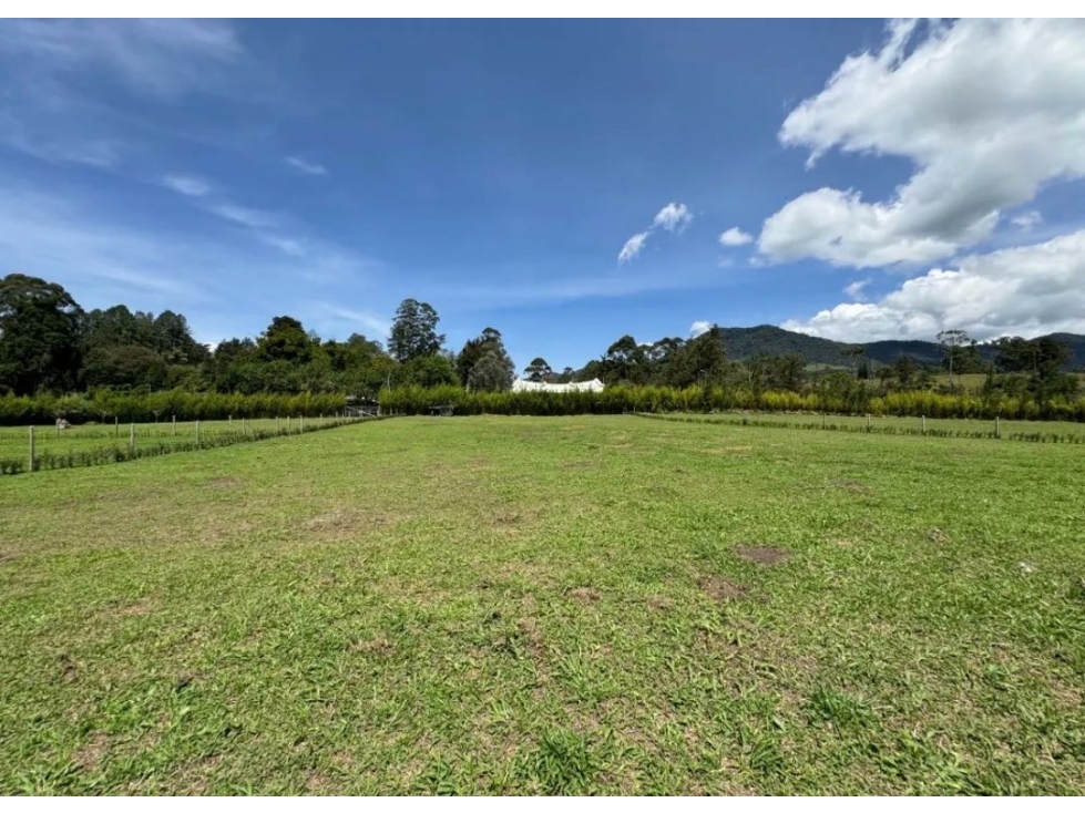 HERMOSO LOTE PLANO INDEPENDIENTE CON EXCELENTE UBICACIÓN EN LA CEJA 5' — foto 2