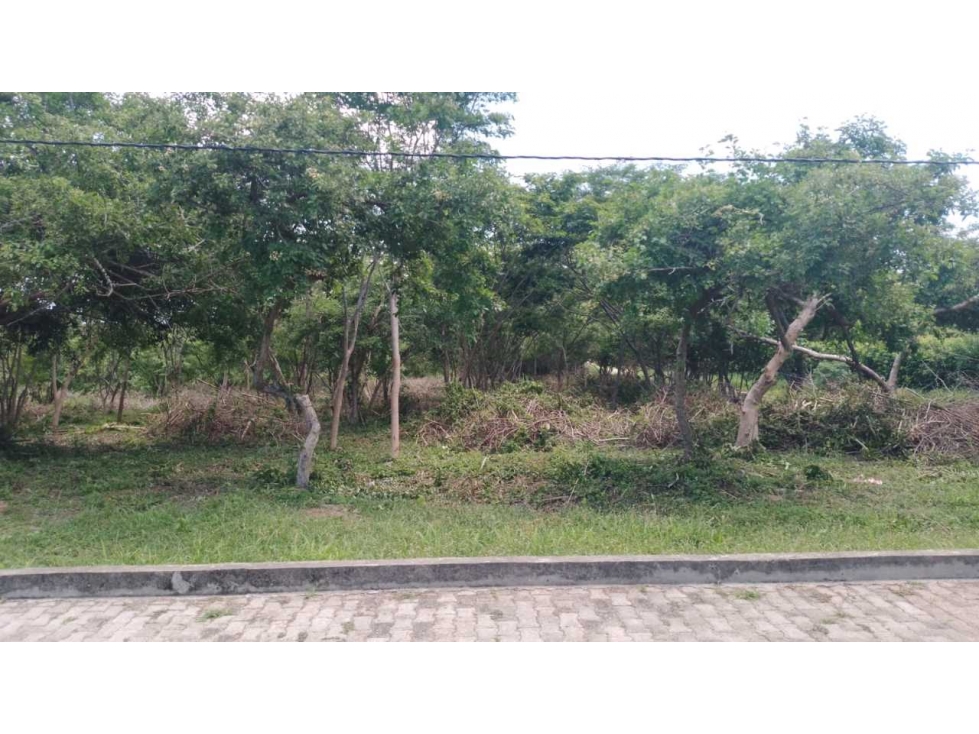 Hermoso Lote Residencial Cerca A Playa Neguanje Santa Marta Colombia — foto 5