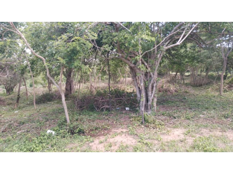 Hermoso Lote Residencial Cerca A Playa Neguanje Santa Marta Colombia — foto 6