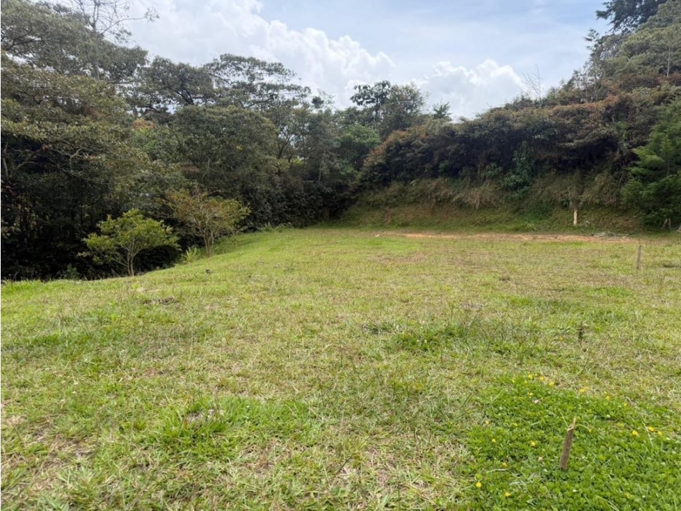 Hermoso lote sector Ojo de Agua en Rionegro - 1