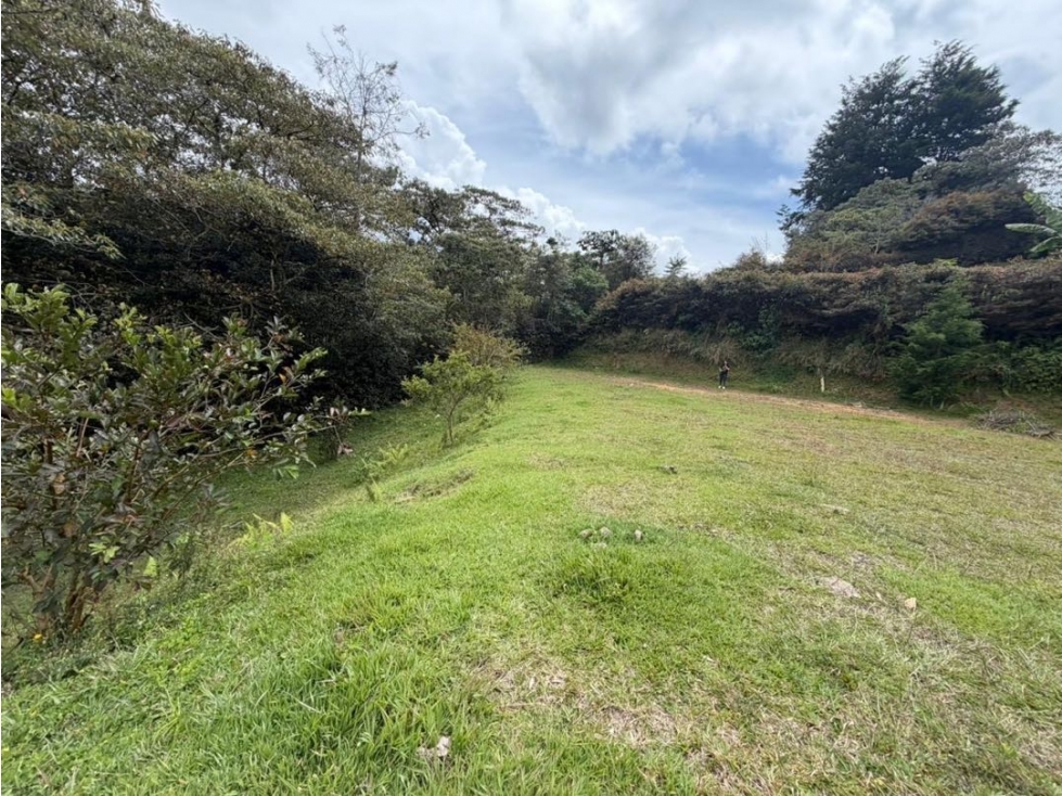 Hermoso lote sector Ojo de Agua en Rionegro - 2