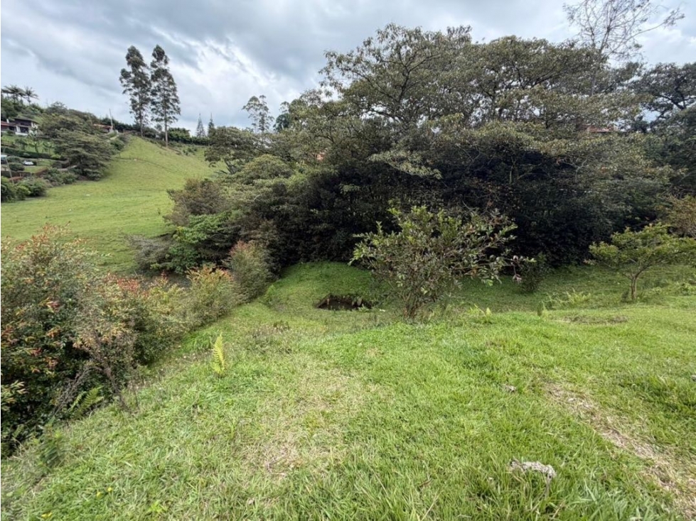 Hermoso lote sector Ojo de Agua en Rionegro - 5