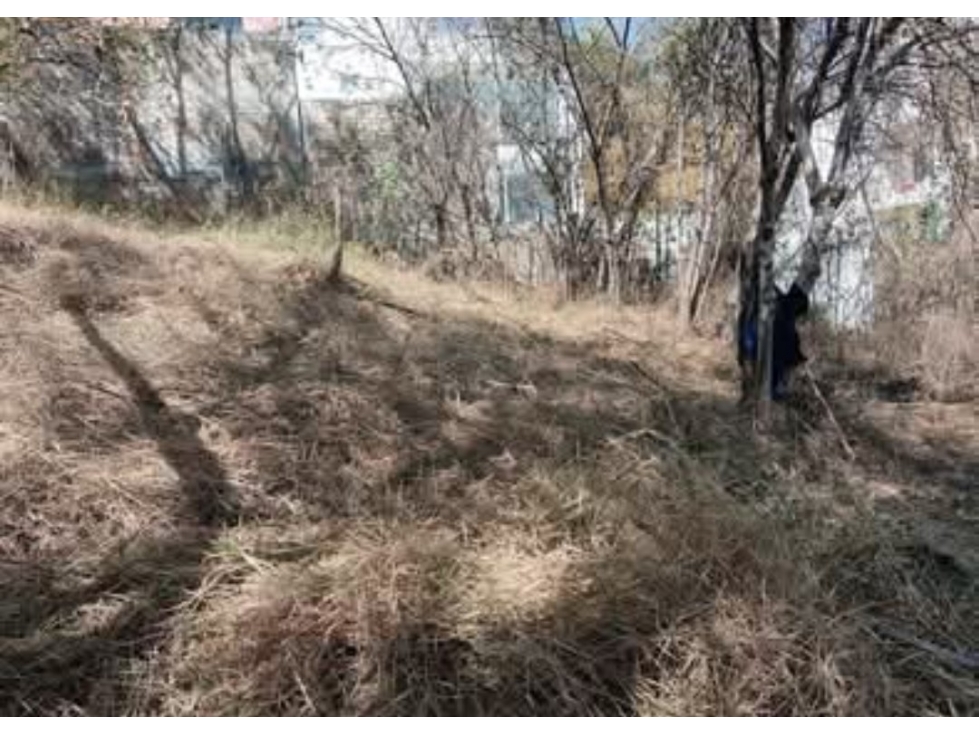 Hermoso Terreno En Lomas del Crestón - 5