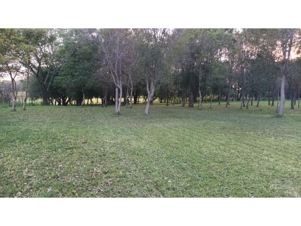 Gran terreno en Puerto Tirol para casa quinta 39x158! - 4