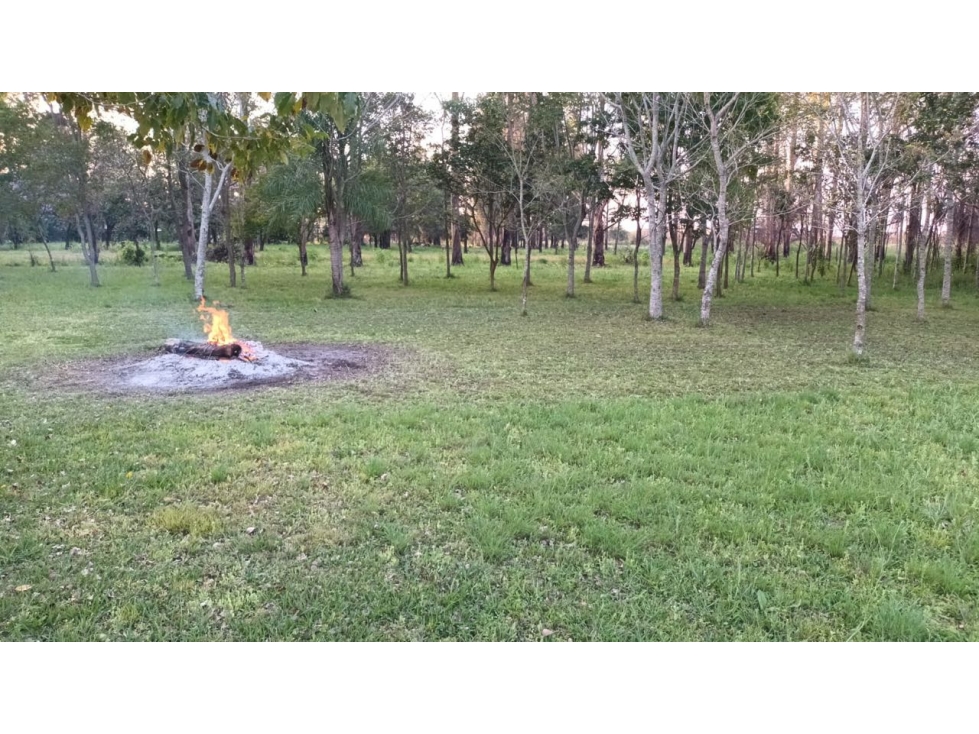 Gran terreno en Puerto Tirol para casa quinta 39x158! - 5