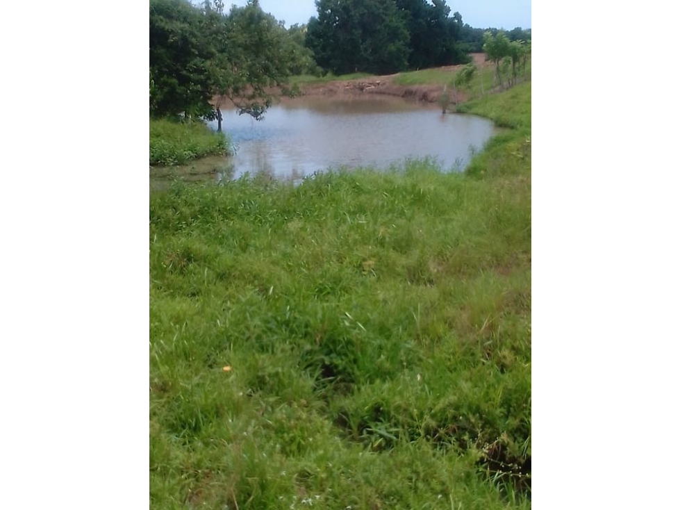 Hermoso terreno ideal para agricultura o ganadería. Prov Los Santos - 2