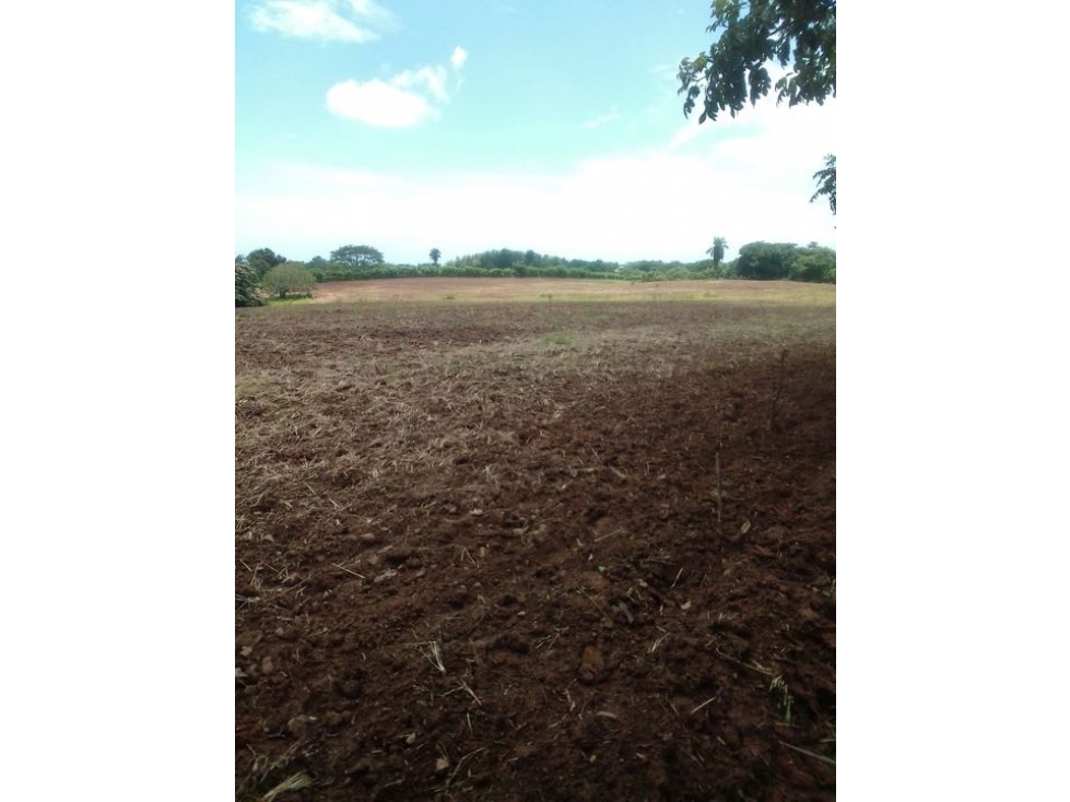 Hermoso terreno ideal para agricultura o ganadería. Prov Los Santos - 3