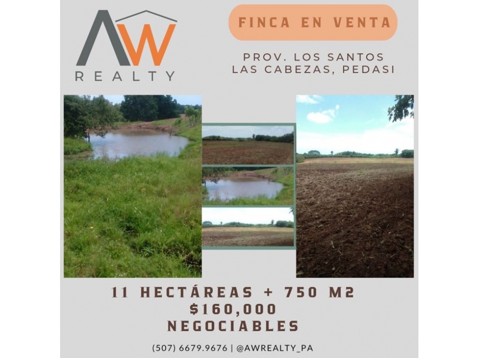 Hermoso terreno ideal para agricultura o ganadería. Prov Los Santos - 4