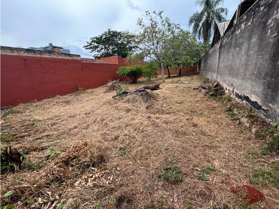 Hermoso terreno zona Municipalidad de Asunción - 3