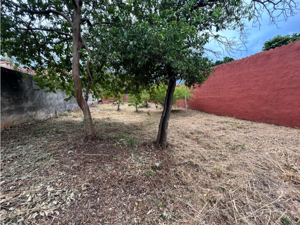 Hermoso terreno zona Municipalidad de Asunción - 4
