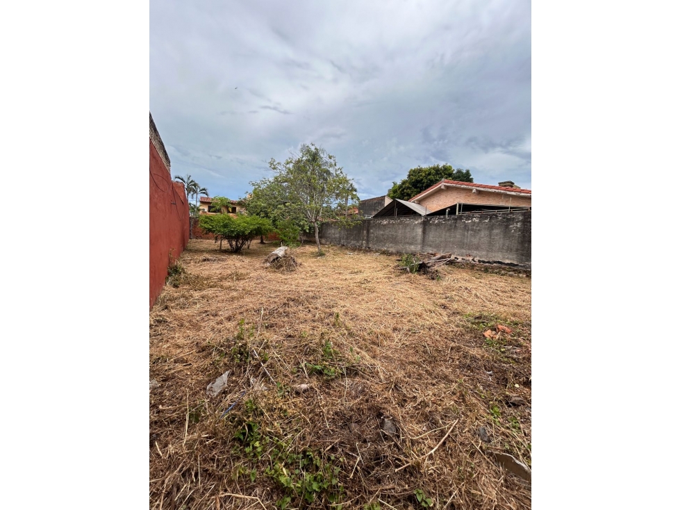 Hermoso terreno zona Municipalidad de Asunción - 5