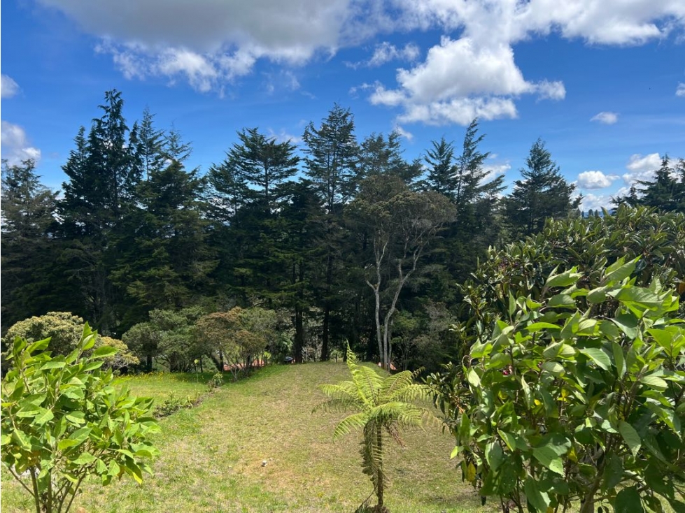HERMOSOS LOTES ALTO DE LAS PALMAS ANTES DEL PEAJE — foto 2