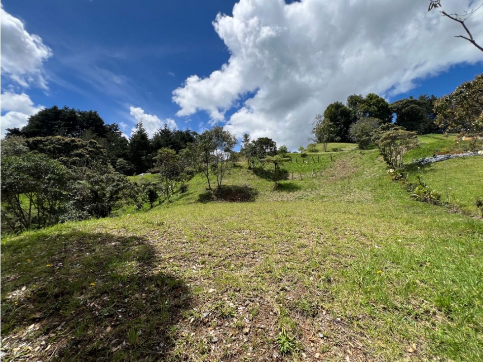 HERMOSOS LOTES ALTO DE LAS PALMAS ANTES DEL PEAJE — foto 6