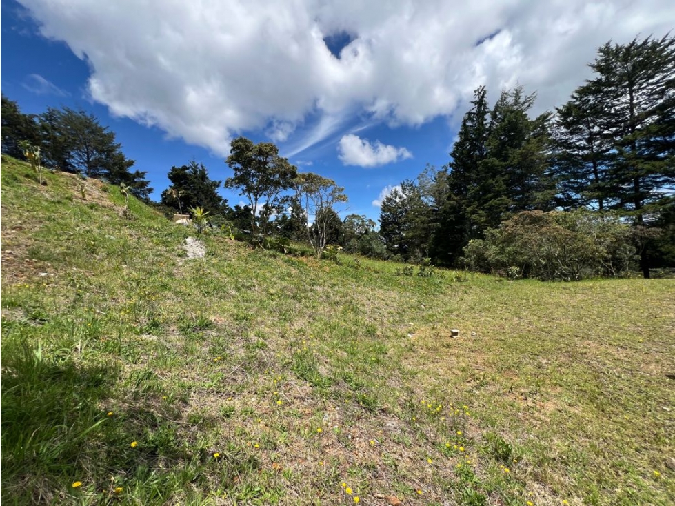 HERMOSOS LOTES ALTO DE LAS PALMAS ANTES DEL PEAJE — foto 4
