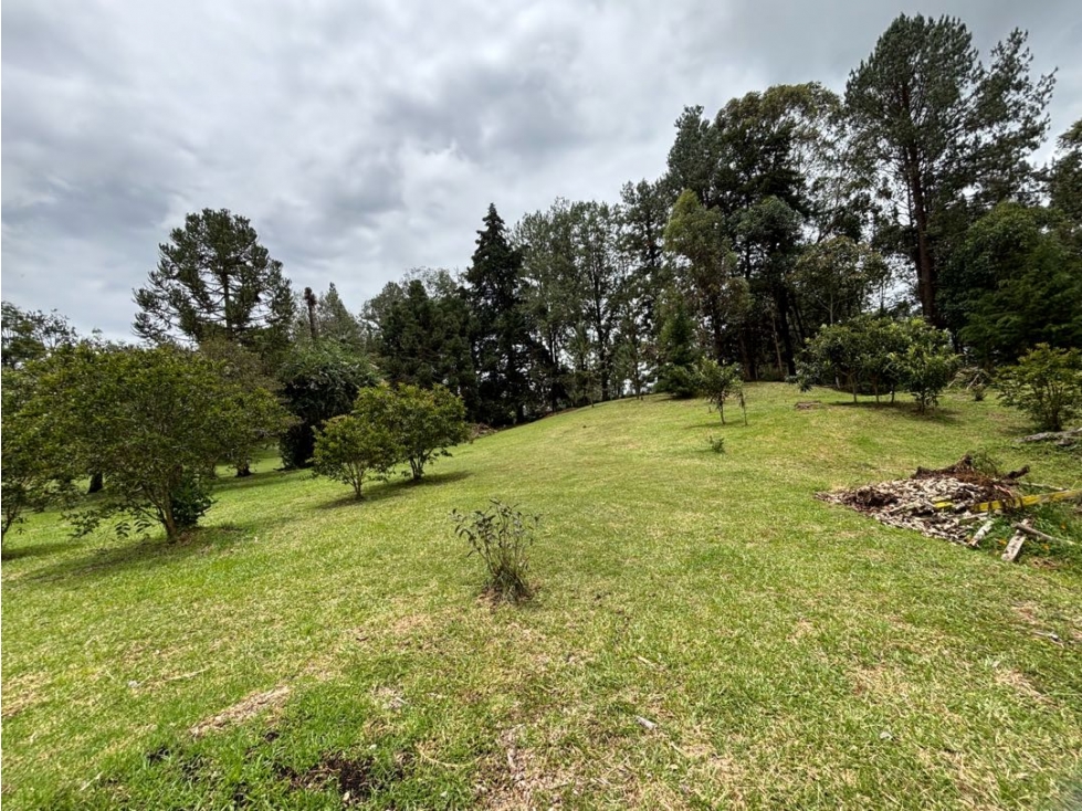 Hermosos lotes en el tablazo rionegro en loteo con áreas de 5.000m2 — foto 2