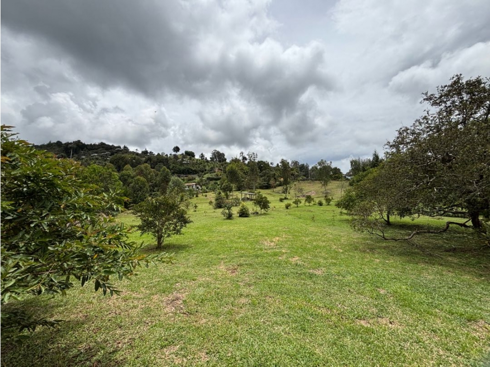 Hermosos lotes en el tablazo rionegro en loteo con áreas de 5.000m2 — foto 4