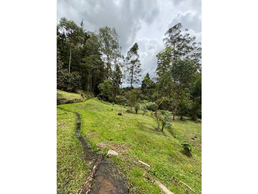 Hermosos lotes en el tablazo rionegro en loteo con áreas de 5.000m2 — foto 6