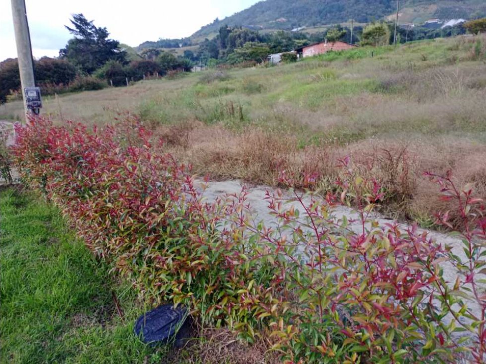 HERMOSOS LOTES EN PROINDIVISO CON VISTA EN VENTA CARMEN VÍBORAL ANTIOQ — foto 4