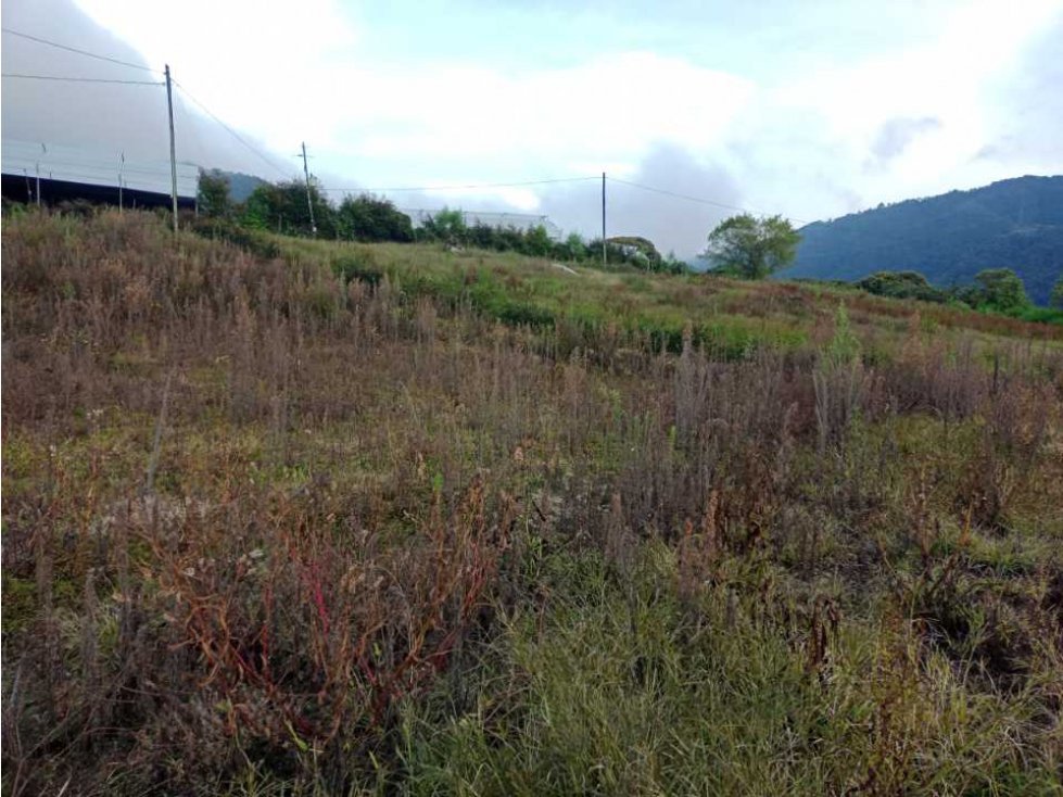 HERMOSOS LOTES EN PROINDIVISO CON VISTA EN VENTA CARMEN VÍBORAL ANTIOQ — foto 6