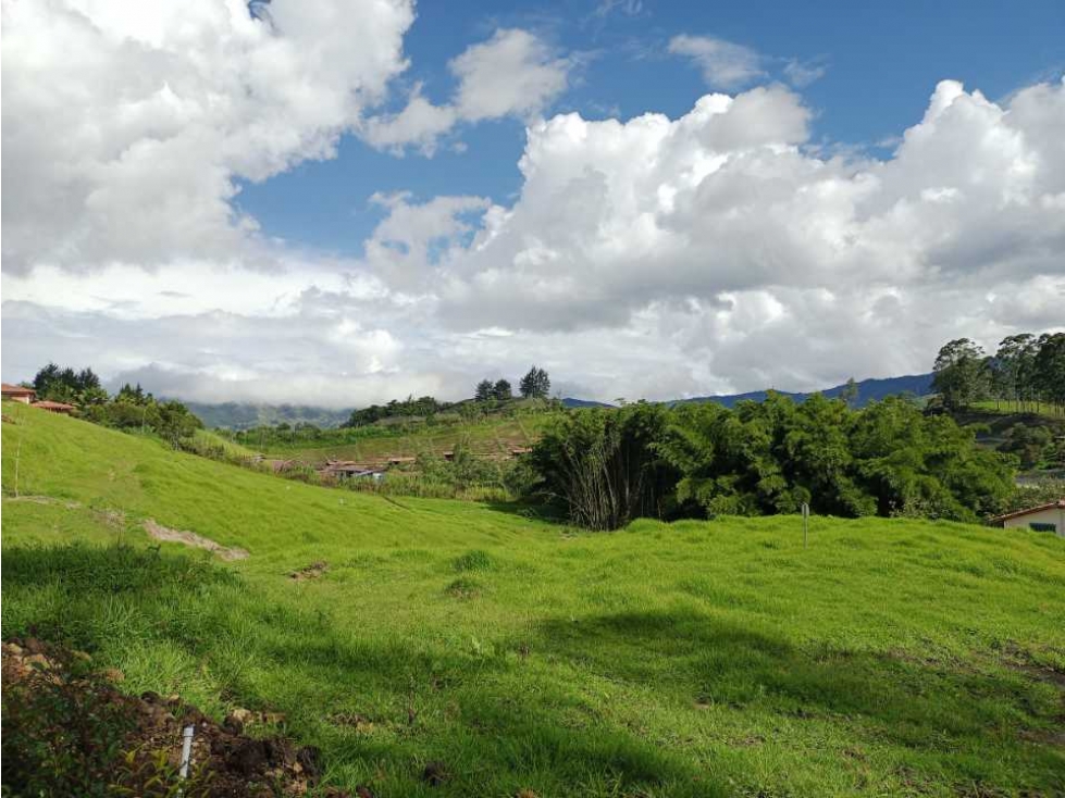 HERMOSOS LOTES EN VENTA CON EXCELENTE UBICACIÓN Y SIN ADMINISTRACIÓN. — foto 4