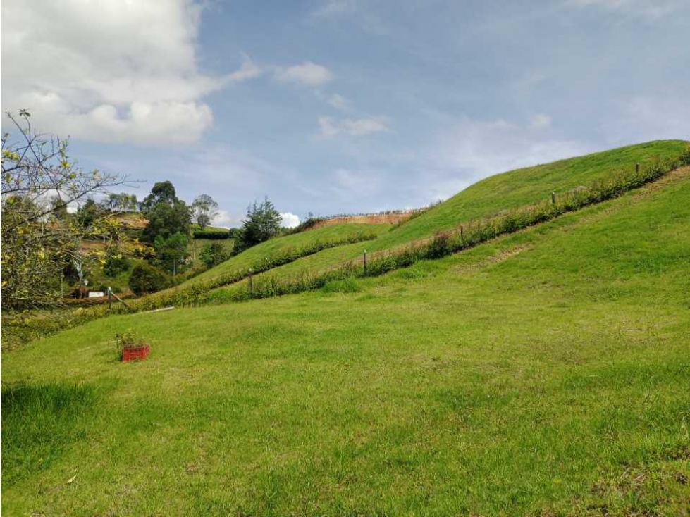 HERMOSOS LOTES EN VENTA CON EXCELENTE UBICACIÓN Y VISTA - CARMEN VÍB. — foto 2